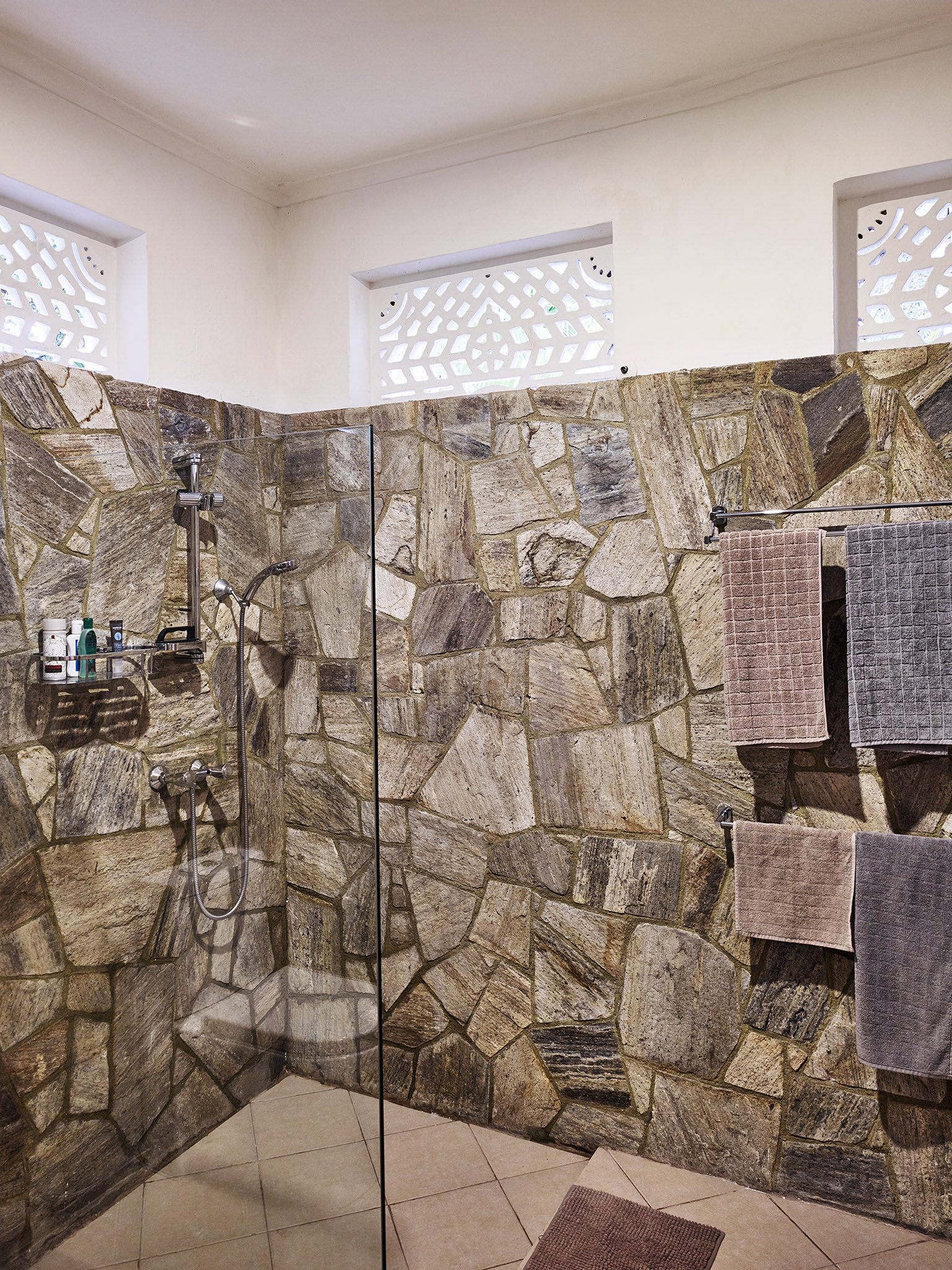 E16583 Alpa 055519 SCREEN